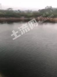 阳江阳西县 60亩 坑塘水面 经营权出租