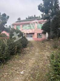 益陽(yáng)桃江縣 0.58畝 農(nóng)村宅基地 使用權(quán)出租