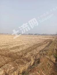 安徽合肥 500亩 水浇地 经营权合作