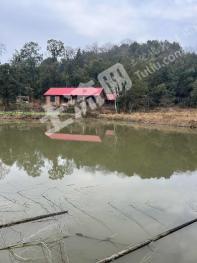 益陽(yáng)桃江縣 336.28平方米 農(nóng)村宅基地 使用權(quán)出租