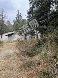 益陽(yáng)桃江縣 1220.39平方米 農(nóng)村宅基地 使用權(quán)出租