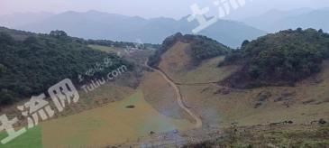 红河蒙自市 200亩 旱地 经营权出租