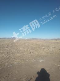兴安盟扎赉特旗 10000亩 水浇地 经营权出租