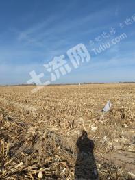 赤峰翁牛特旗 3478.28亩 水浇地 经营权出租