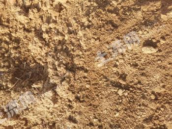 黄冈麻城市 3000亩 水浇地 经营权出租