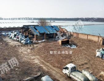 新乡平原示范区 5亩 其它林地 经营权出租