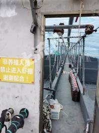 南通如东县 60亩 沿海滩涂 使用权出租