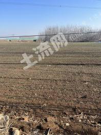 菏泽牡丹区 200亩 水浇地 经营权出租