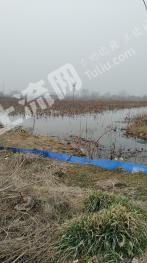 盐城建湖县 210亩 坑塘水面 经营权转让