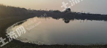 武汉东西湖区 32.04亩 坑塘水面 经营权出租