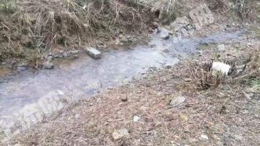 河池巴马瑶族自治县 3亩 农家庭院 使用权出租