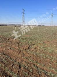 菏泽曹县 120亩 水浇地 经营权出租