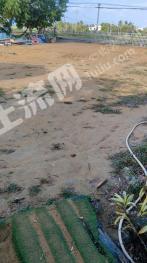 海南陵水黎族自治縣 3畝 農(nóng)村宅基地 使用權(quán)出租