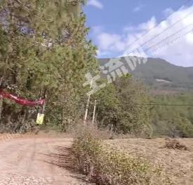 大理云龙县 500亩 其它林地 经营权出租
