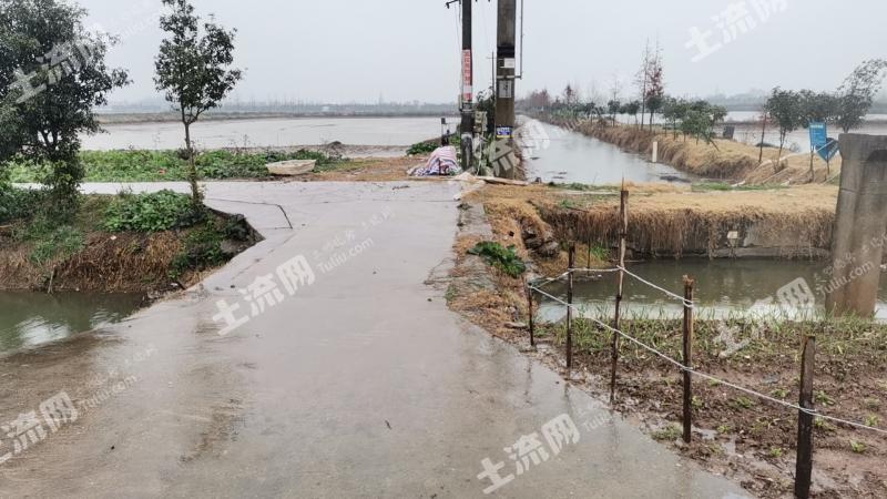荆州石首市 71.5亩 坑塘水面 经营权出租