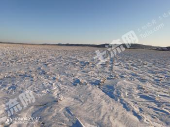 呼伦贝尔鄂伦春自治旗 630.27亩 旱地 经营权出租