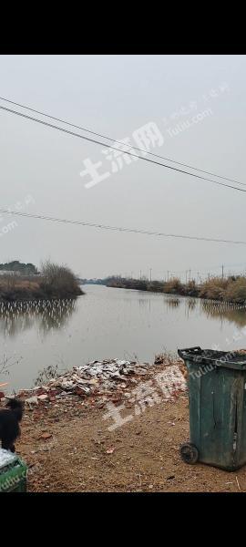 孝感应城市 501.02亩 湖泊水面 使用权出租