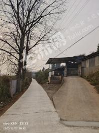 绵阳梓潼县 10亩 设施农用地 经营权出租