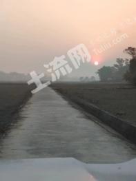 眉山东坡区 320亩 水田 经营权出租