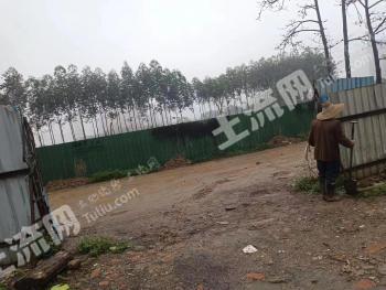 肇庆鼎湖区 2000平方米 荒地 使用权出租