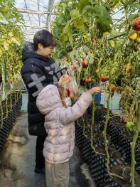 唐山迁安市 30亩 农场 使用权转让