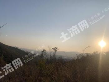 楚雄姚安县 370亩 其它林地 经营权合作