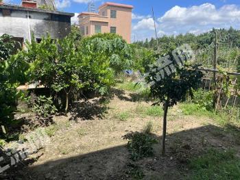 广州南沙区 380平方米 农村宅基地 使用权出租