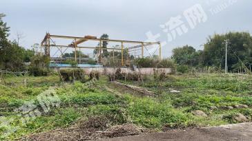 肇庆高要区 4.5亩 水田 经营权出租