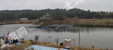 绵阳游仙区 51亩 水库水面 经营权出租