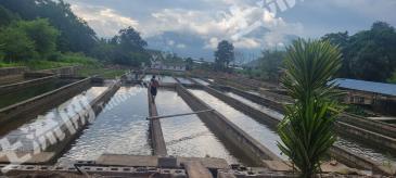 临沧永德县 21.09亩 内陆滩涂 使用权出租