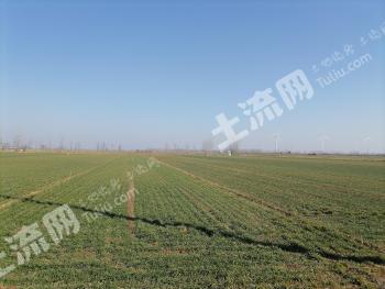 开封兰考县 6.53亩 水浇地 经营权互换