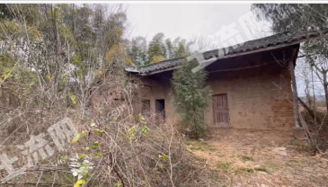 綿陽(yáng)梓潼縣 0.56畝 農(nóng)村宅基地 使用權(quán)出租