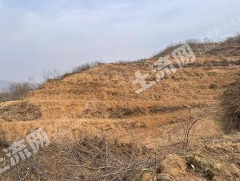 潍坊临朐县98.28亩水浇地经营权出租