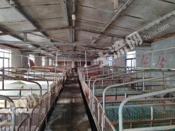 泰州泰兴市 76.57亩 设施农用地 经营权出租