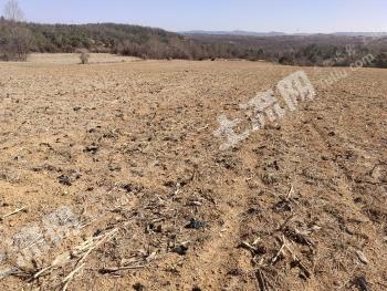 曲靖沾益区 62.56亩 水浇地 经营权出租