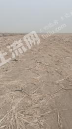 巴彦淖尔杭锦后旗 2360亩 水浇地 经营权出租