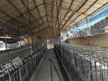梅州梅县区 30亩 设施农用地 经营权出租