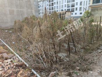 楚雄姚安县 0.28亩 城镇住宅用地 使用权转让