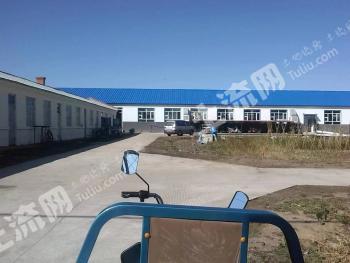 哈尔滨双城区 7000平方米 厂房 使用权出租