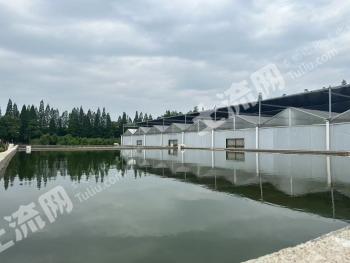 岳阳湘阴县 148亩 坑塘水面 经营权出租