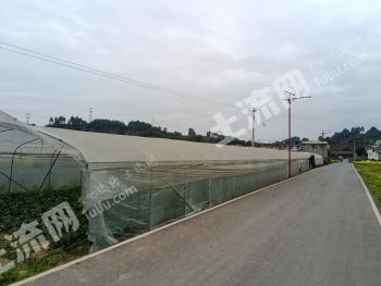 乐山夹江县 22.5亩 旱地 经营权出租