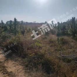 玉林兴业县 3000亩 荒地 使用权出租