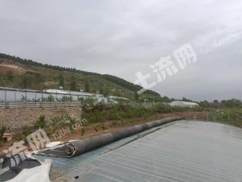 淄博淄川区 80亩 旱地 经营权转让