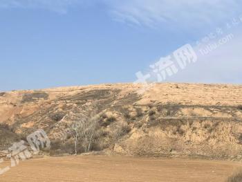 赤峰松山区 95亩 其它林地 经营权出租