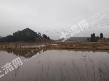 曲靖沾益区 65亩 水田 经营权转包