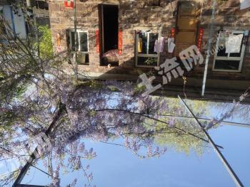 安阳林州市 3420平方米 城镇住宅用地 使用权转让