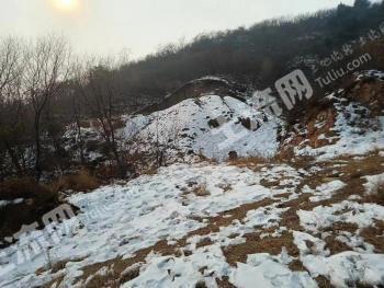 石家庄灵寿县 822.45亩 其它林地 经营权转让