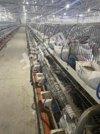 绵阳涪城区 5亩 农场 使用权出租