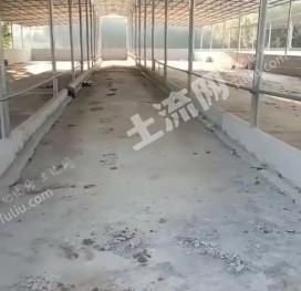 来宾武宣县 46亩 农场 使用权出租