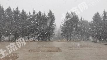 长春农安县 600亩 水田 经营权转让